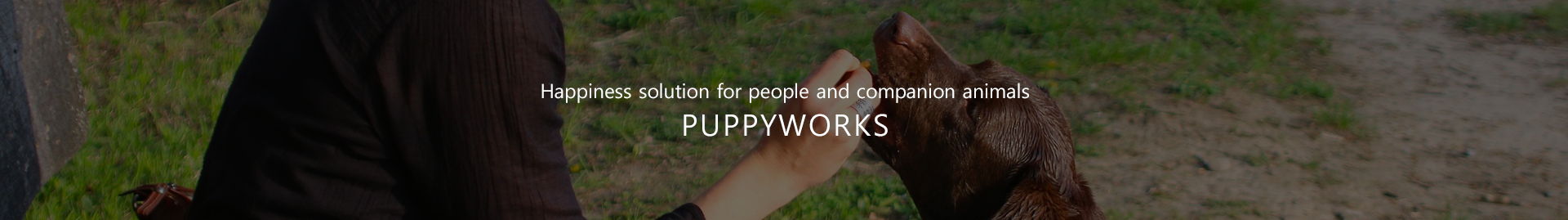 Happiness solution for people and companion animals, PUPPYWORKS