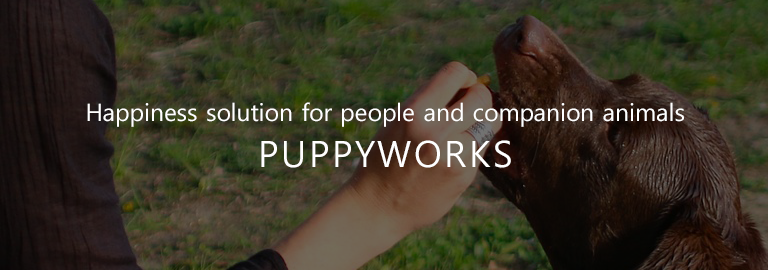 Happiness solution for people and companion animals, PUPPYWORKS