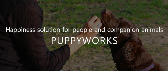 Happiness solution for people and companion animals, PUPPYWORKS